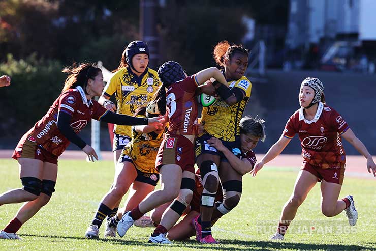 アカニシソコイワサ