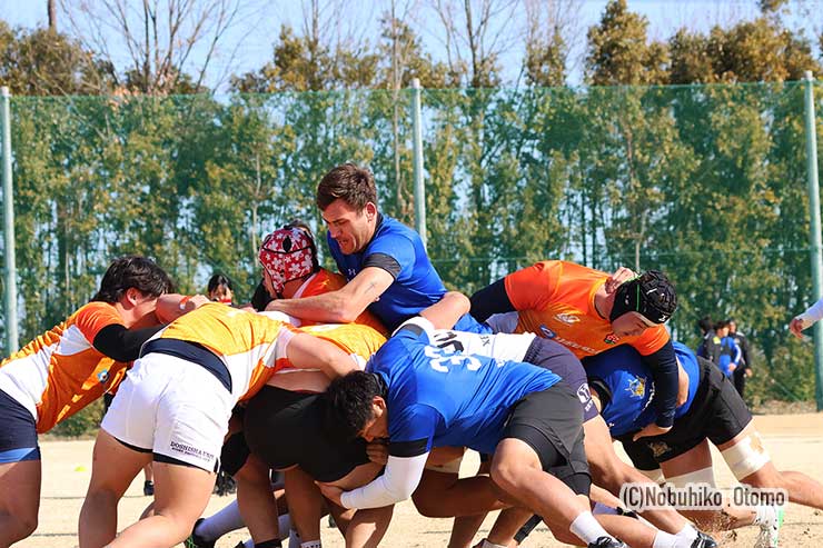 埼玉WKの若手を相手にモールを実戦練習